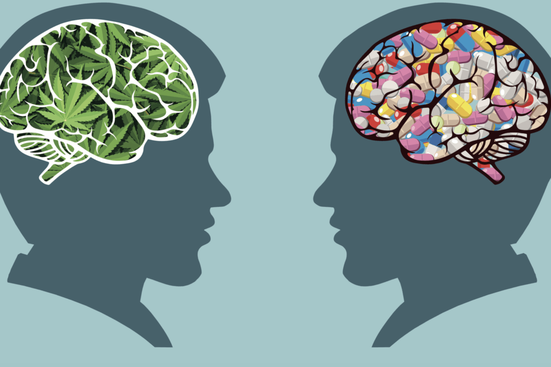 Cognitive Effects in Midlife of Long-Term Cannabis Use