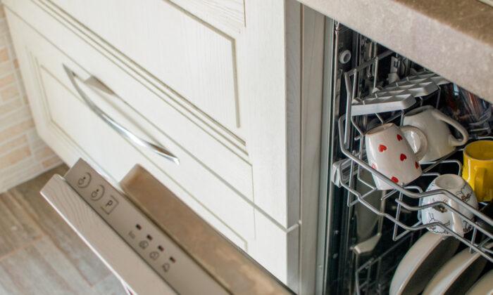 Here’s How to Choose the Dishwasher and Fridge That Are Right for Your Kitchen