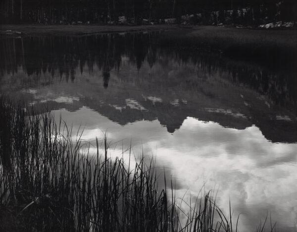 "Grass and Reflections, Lyell Fork of the Merced River, Yosemite National Park," circa 1943, by Ansel Adams. Photograph, gelatin silver print. The Lane Collection, Museum of Fine Arts Boston. (The Ansel Adams Publishing Rights Trust/Courtesy of Museum of Fine Arts Boston)
