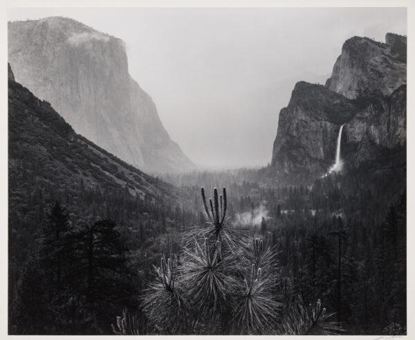 "Rain, Yosemite Valley, California," circa 1940, by Ansel Adams. Photograph, gelatin silver print.<br/>The Lane Collection, Museum of Fine Arts Boston. (The Ansel Adams Publishing Rights Trust/Courtesy of Museum of Fine Arts Boston)