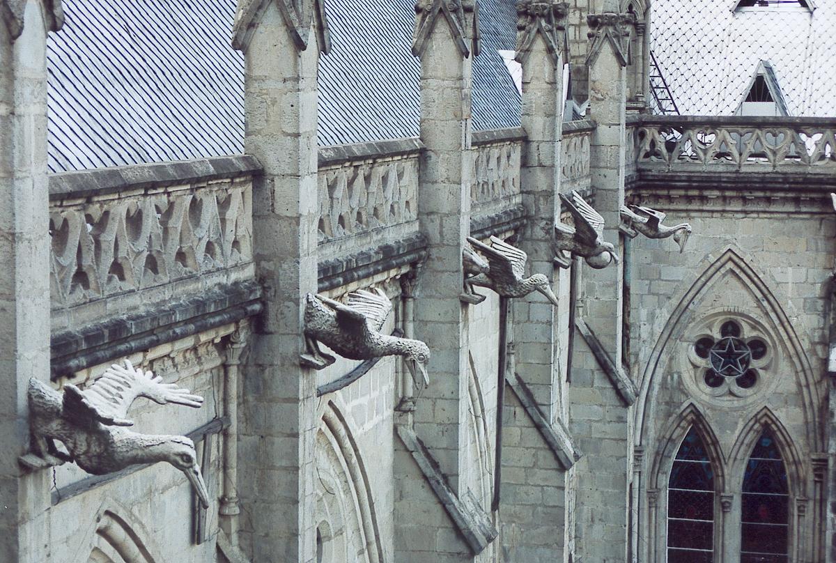 Gargoyles at the Basílica del Voto Nacional. (Delphine Ménard/CC BY-SA 2.0 fr)