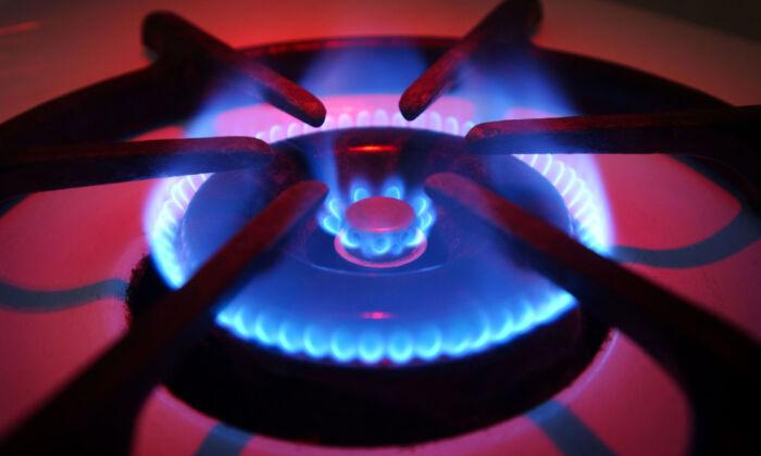 House Republicans Target Gas Stove Regulations, Power of Administrative State