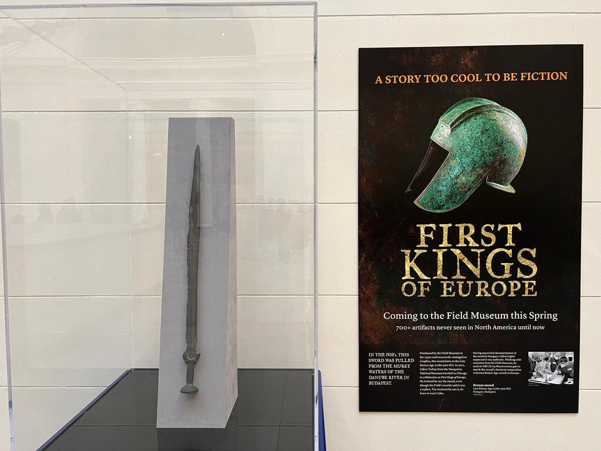 Installation of a Bronze Age Era sword (1080-900 B.C.) in the Field Museum’s main hall as a preview for an upcoming special exhibition, First Kings of Europe. (Courtesy of The Field Museum of Natural History)