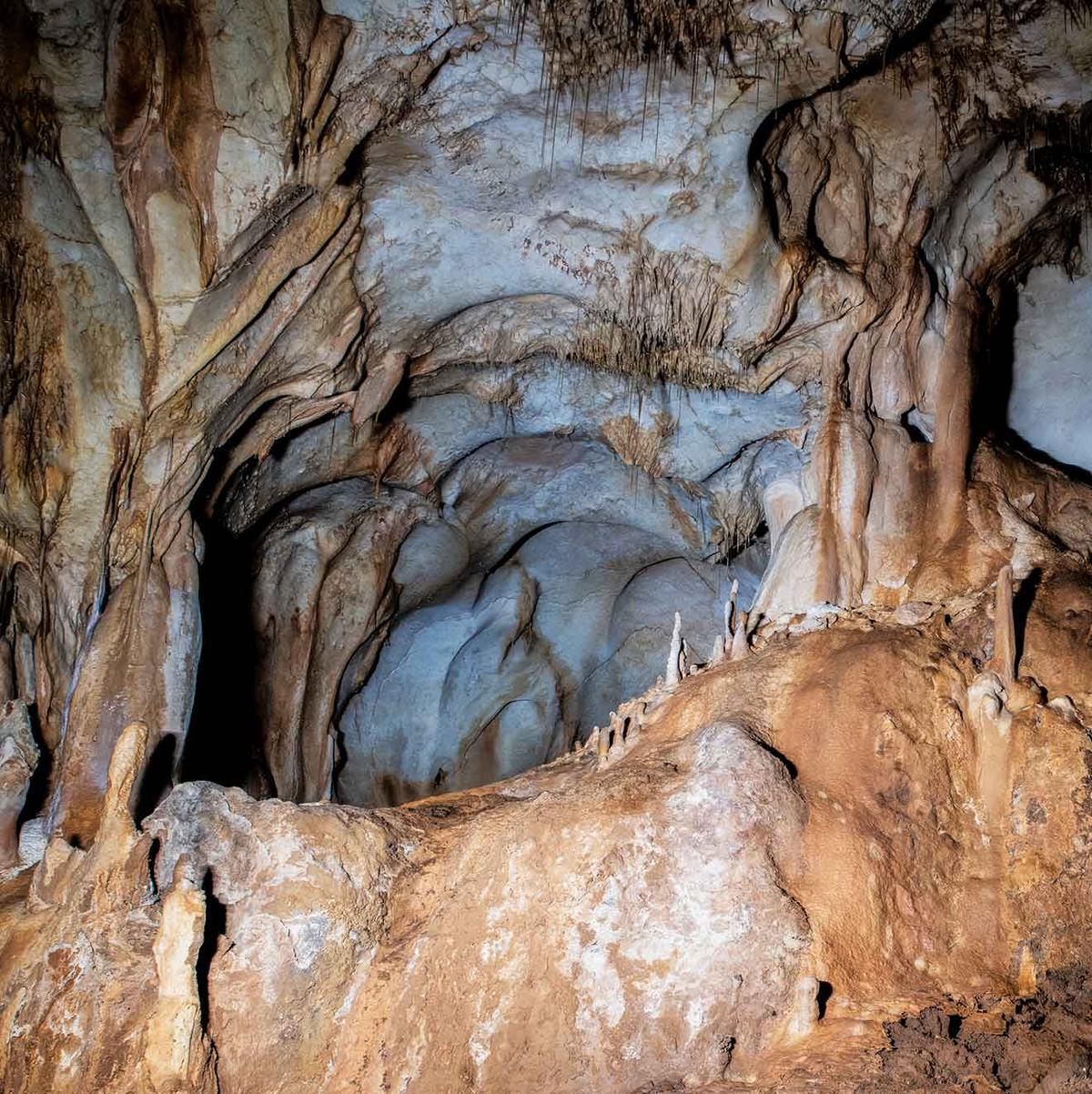 The interior of Cueva del Arco. (Courtesy of Ignacio Martín Lerma)