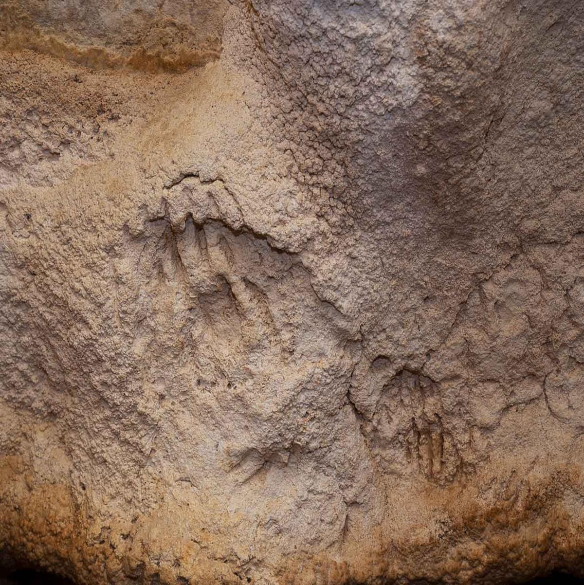 Marks that appear to have been made by the claws of a bear. (Courtesy of Ignacio Martín Lerma)
