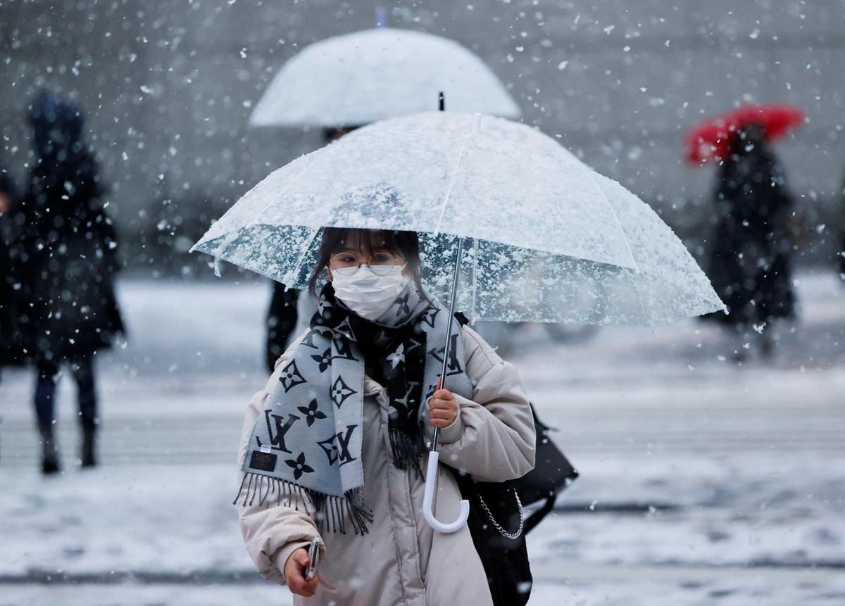 Heavy Snow in Japan Disrupts Flights and Trains, Closes Roads