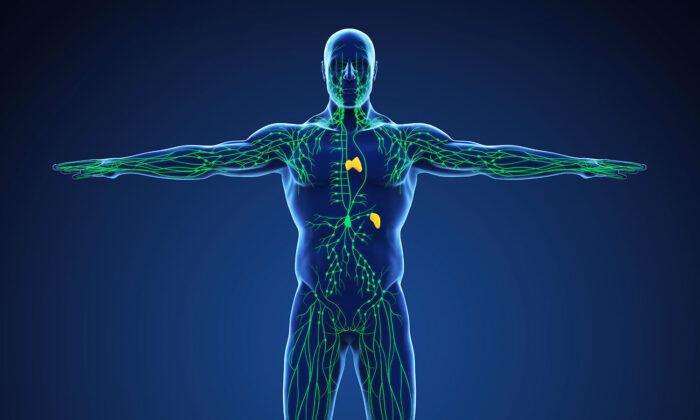 How to Boost Your Lymphatic System, Improve Bone Healing