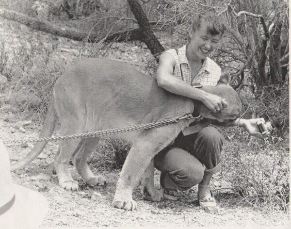 Thompson’s parents were science teachers who imparted to him a love of science. His mother, Alice, is pictured here with George, a pet mountain lion, in 1956. (Courtesy of Art Thompson)