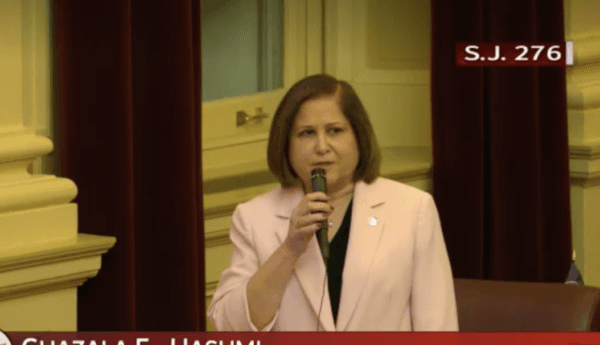 Virginia state Sen. Ghazala Hashmi speaking on the floor of the Virginia Senate on Feb. 7. (Senate of Virginia/Screenshot)