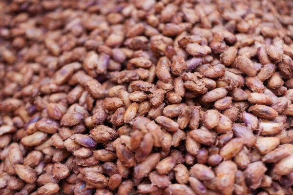 The fermentation process, which is carefully monitored and includes knowing when to turn the boxes to mix the seeds and add oxygen, transforms the cacao’s simple, bitter flavors into something complex, sweet, and refined.（Courtesy of Lydgate Farms）