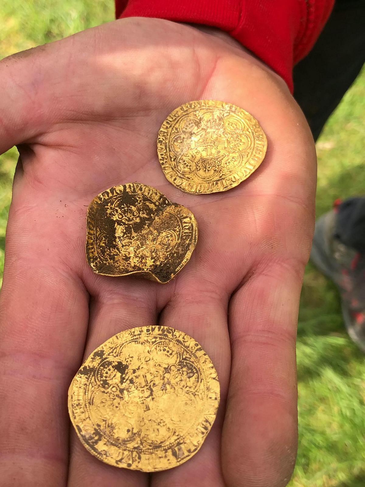 Three ultra-rare gold nobles found at the site in Buckinghamshire. (SWNS)