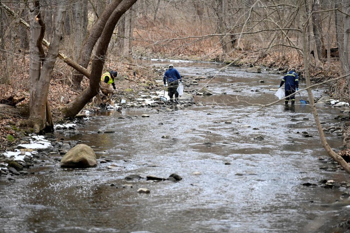 An environmental company is removing dead fish downstream from the site of a train derailment that forced people to be evacuated from their homes in East Palestine, Ohio, on Feb. 6, 2023. (Alan Freed/Reuters)