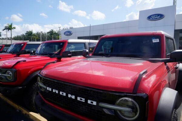 Ford Broncos line the front of Gus Machado's Ford dealership in Hialeah, Fla., on Jan. 23, 2023. (Marta Lavandier/AP Photo)