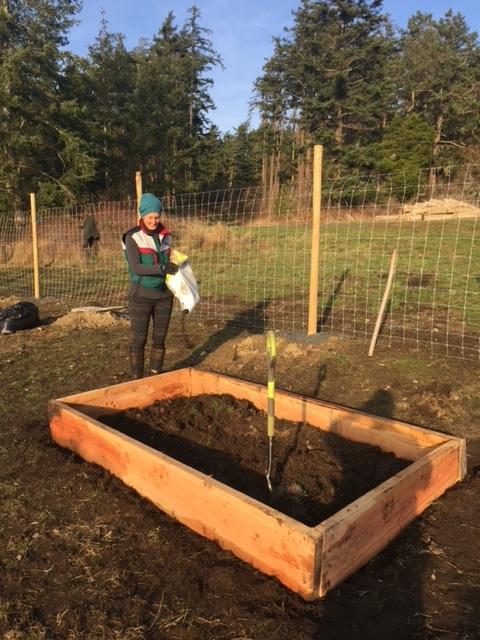 The author's wife, Nicole, filling their first raised bed with composted manure. (Eric Lucas)