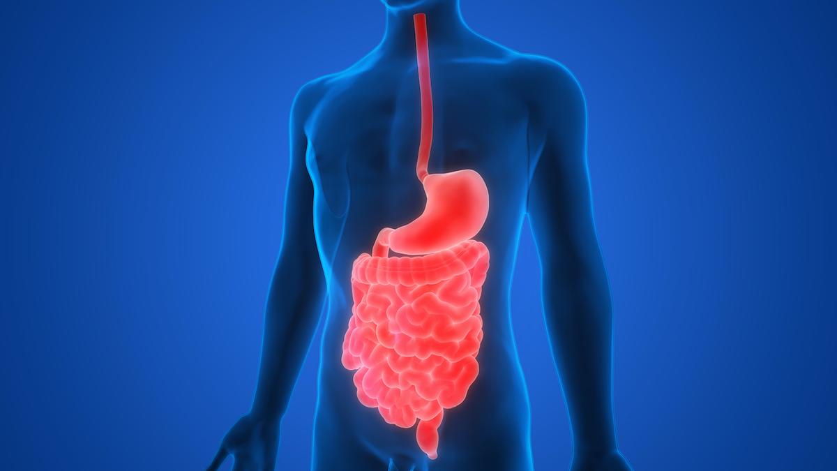 A Simple, Free Way to Heal Your Gut—With No Side Effects