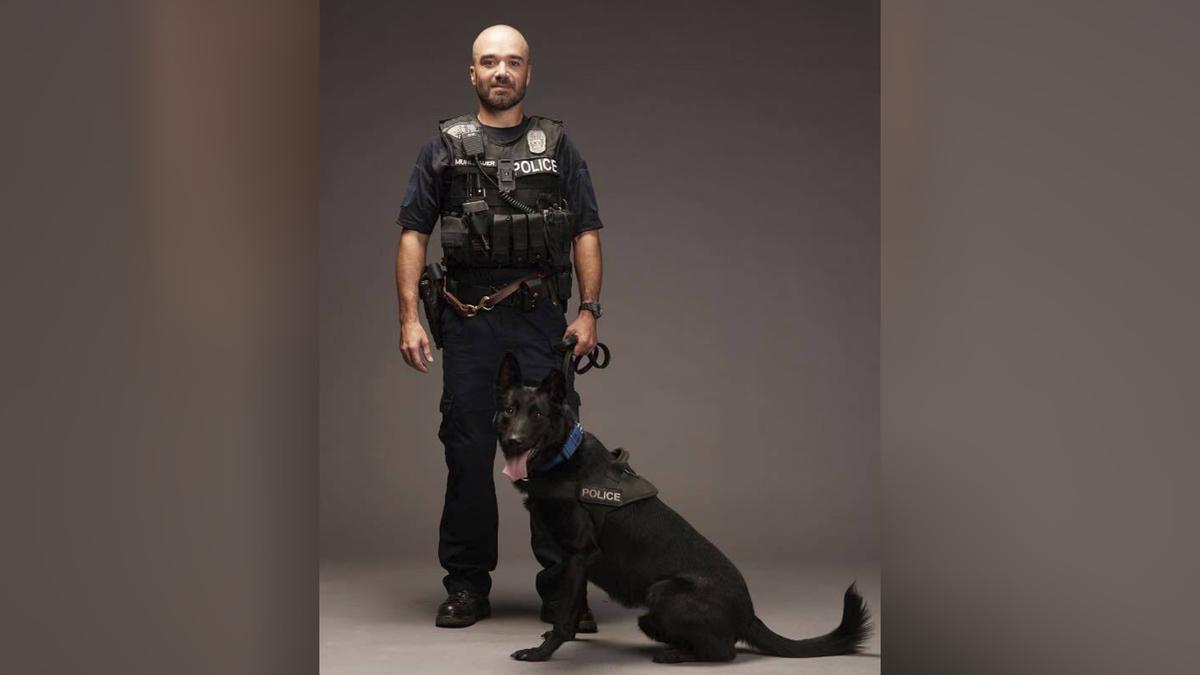 Officer, Pedestrian and Police Dog Die in Kansas City Crash