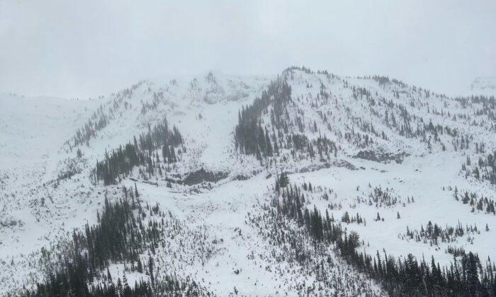 Two Dead, One Injured After Avalanche Hits Group of Snowboarders and a Skier in BC
