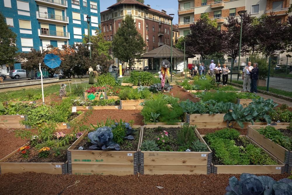 Community gardens require a budget, ground rules, and everyone pitching in to make it fruitful. (MikeDotta/Shutterstock)