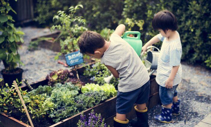 Friends That Garden Together, Grow Together: How to Start or Join a Community Garden