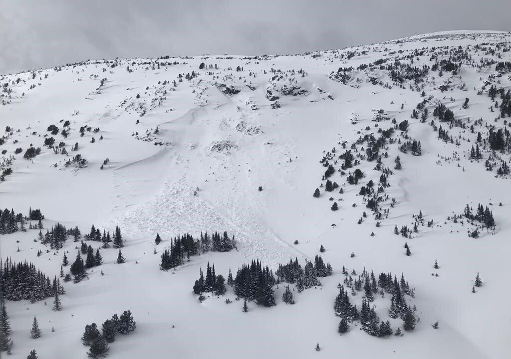 Rescue Teams Save Five Skiers Buried in BC Avalanche