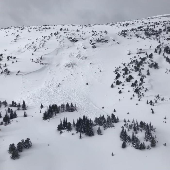 Rescue Teams Save Five Skiers Buried in BC Avalanche
