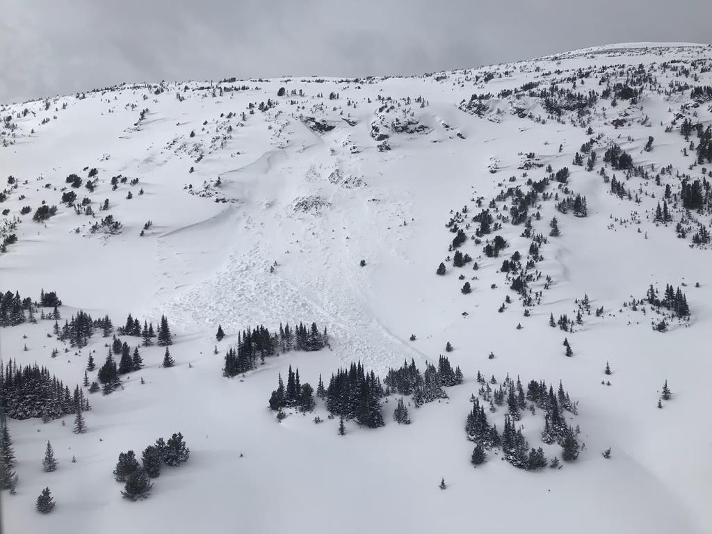Rescue Teams Save Five Skiers Buried in BC Avalanche
