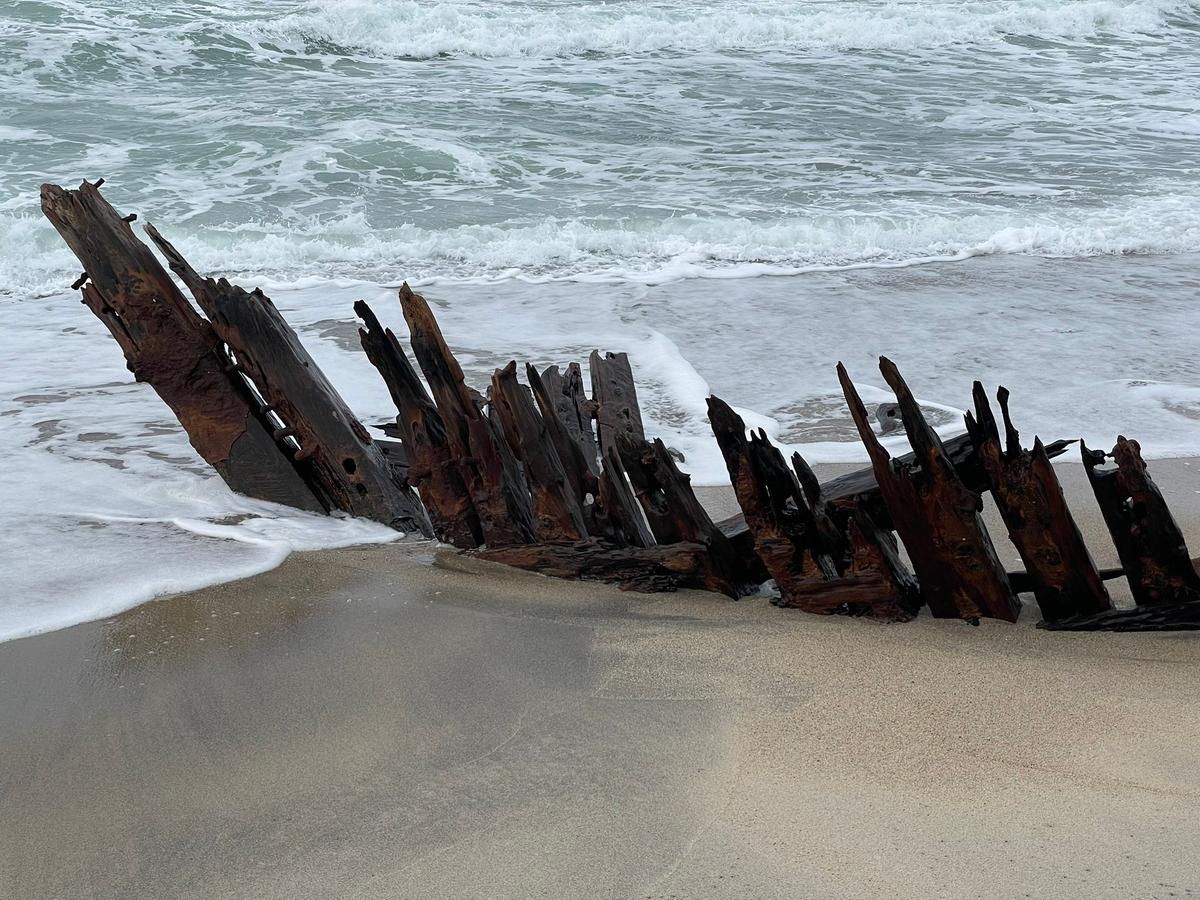 The shipwreck is believed to be the remains of 19th-century schooner Warren Sawyer. (Courtesy of Matt Palka)