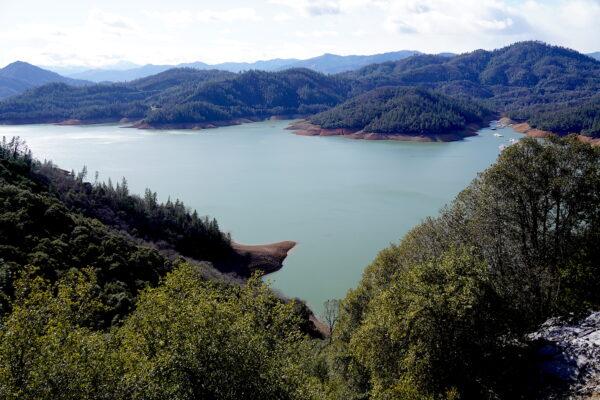 Few visible signs of drought are seen 800 feet above Shasta Lake on Feb. 14, 2023. (Allan Stein/The Epoch Times)