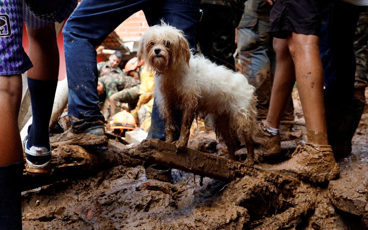 Death Toll From Brazil Downpours Hits 48, Dozens Still Missing