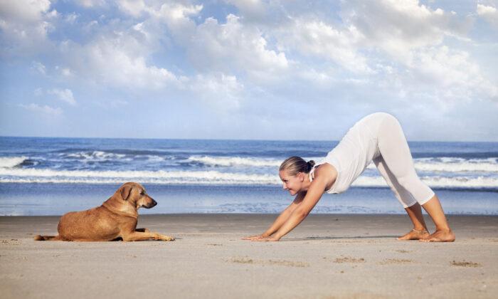 The Real Reason Downward-Facing Dog Is so Good for You