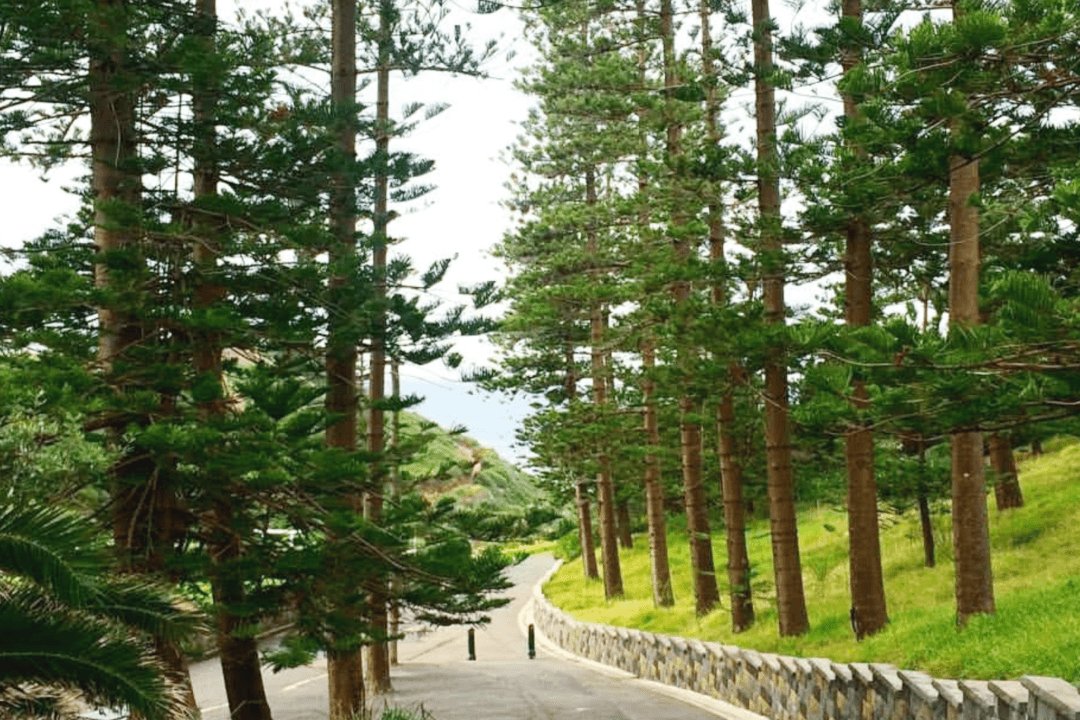 World’s Largest Coal Port to Transform Into ‘Smart City’