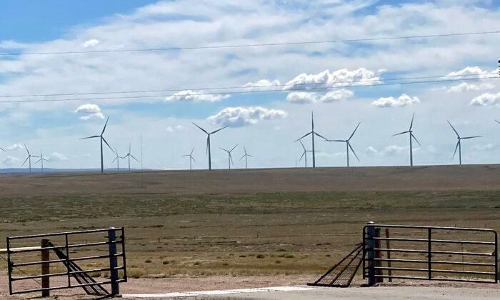 IN-DEPTH: ‘Beyond Belief’: Industrial Wind Developments Could Threaten Fragile Desert Ecosystem