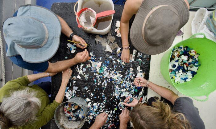 Clean-Up Find 50,000 Bits of Rubbish in Australian State Wilderness
