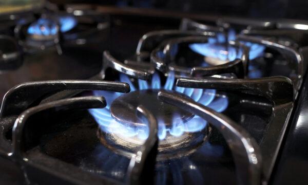 Flames burn on a natural gas-burning stove in Chicago, Ill., on Jan. 12, 2023. (Scott Olson/Getty Images)