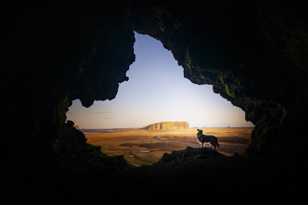 A dramatic cave scene with a pooch's silhouette in Iceland. (Courtesy of <a href="https://www.instagram.com/anne.geier.fotografie/">Anne Geier</a>)