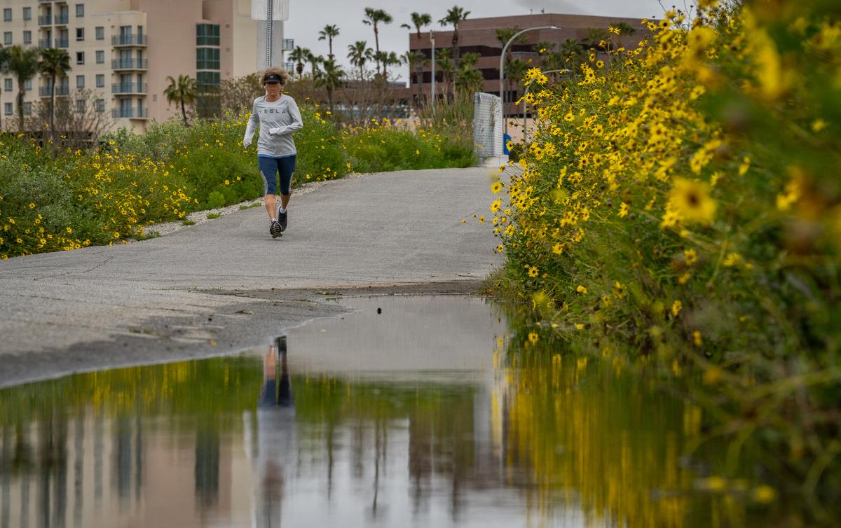 Parts of California Exit Drought After Recent Rain, Snow