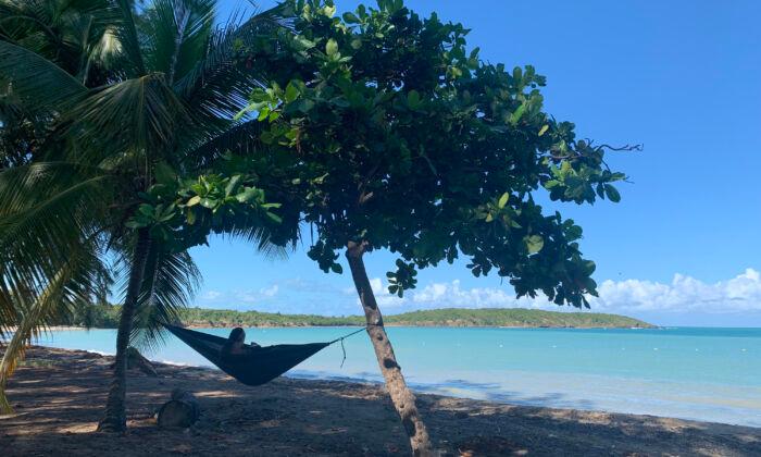 Looking for a Tropical Family Getaway? Puerto Rico Pairs an International Feel With Domestic Convenience