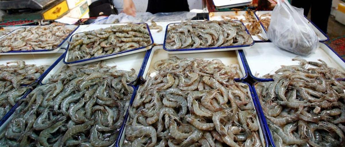 Shrimp Sold at Major Stores Recalled Over ‘Possible Health Risk’