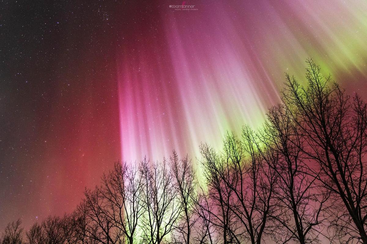 A bright pink, purple, and red aurora borealis appears over central Alberta, Canada. (Courtesy of <a href="https://www.instagram.com/dartanner/">Dar Tanner</a>)