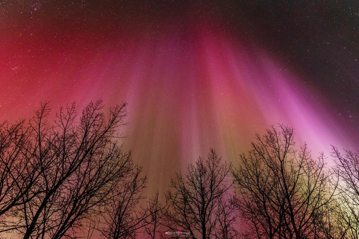 Aurora borealis displays pink, red, and purple overhead. (Courtesy of <a href="https://www.instagram.com/dartanner/">Dar Tanner</a>)