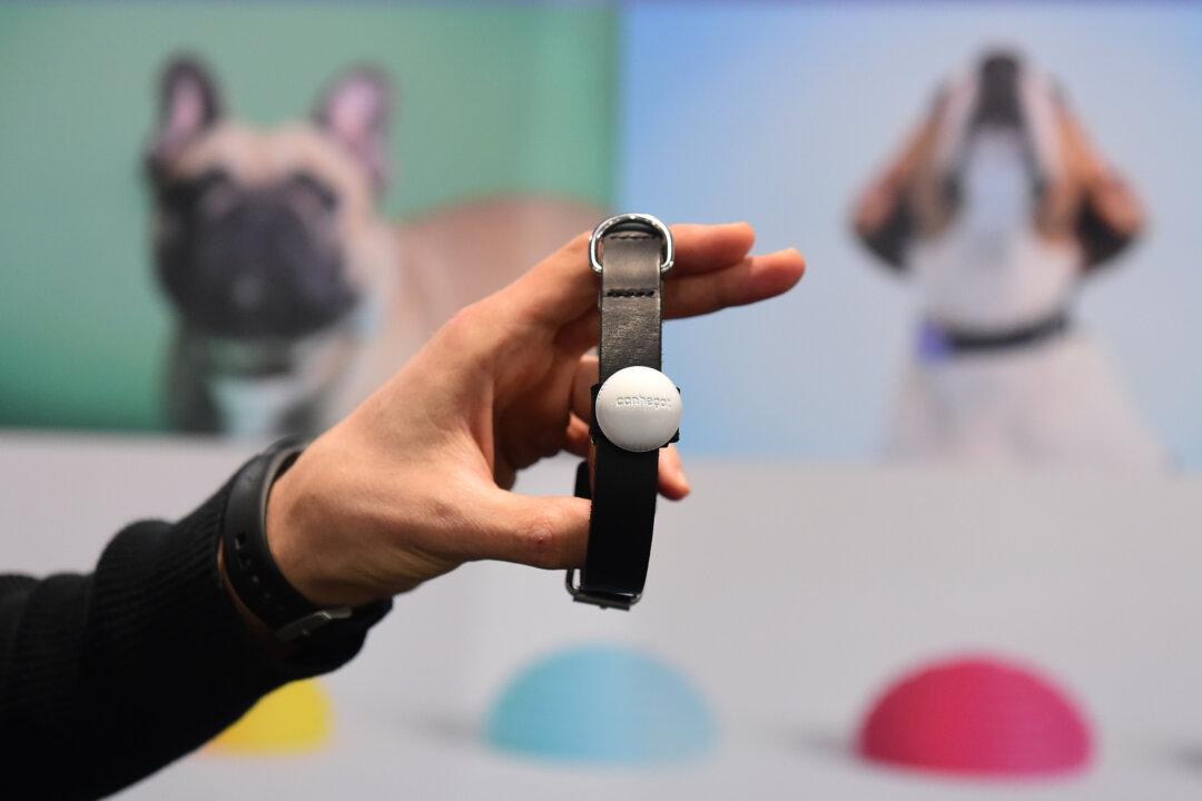 Pet Tracking Apps Leaking Information on Users, Study Finds