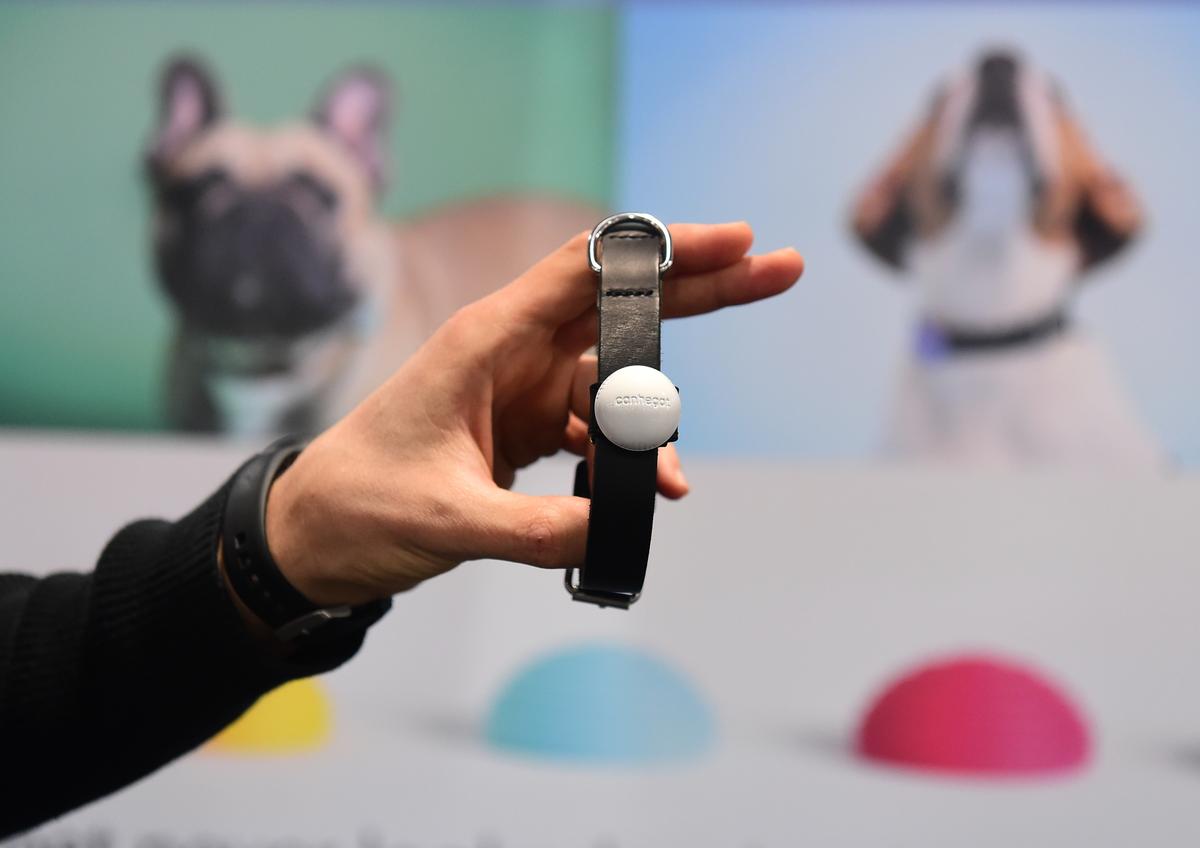 Pet Tracking Apps Leaking Information on Users, Study Finds