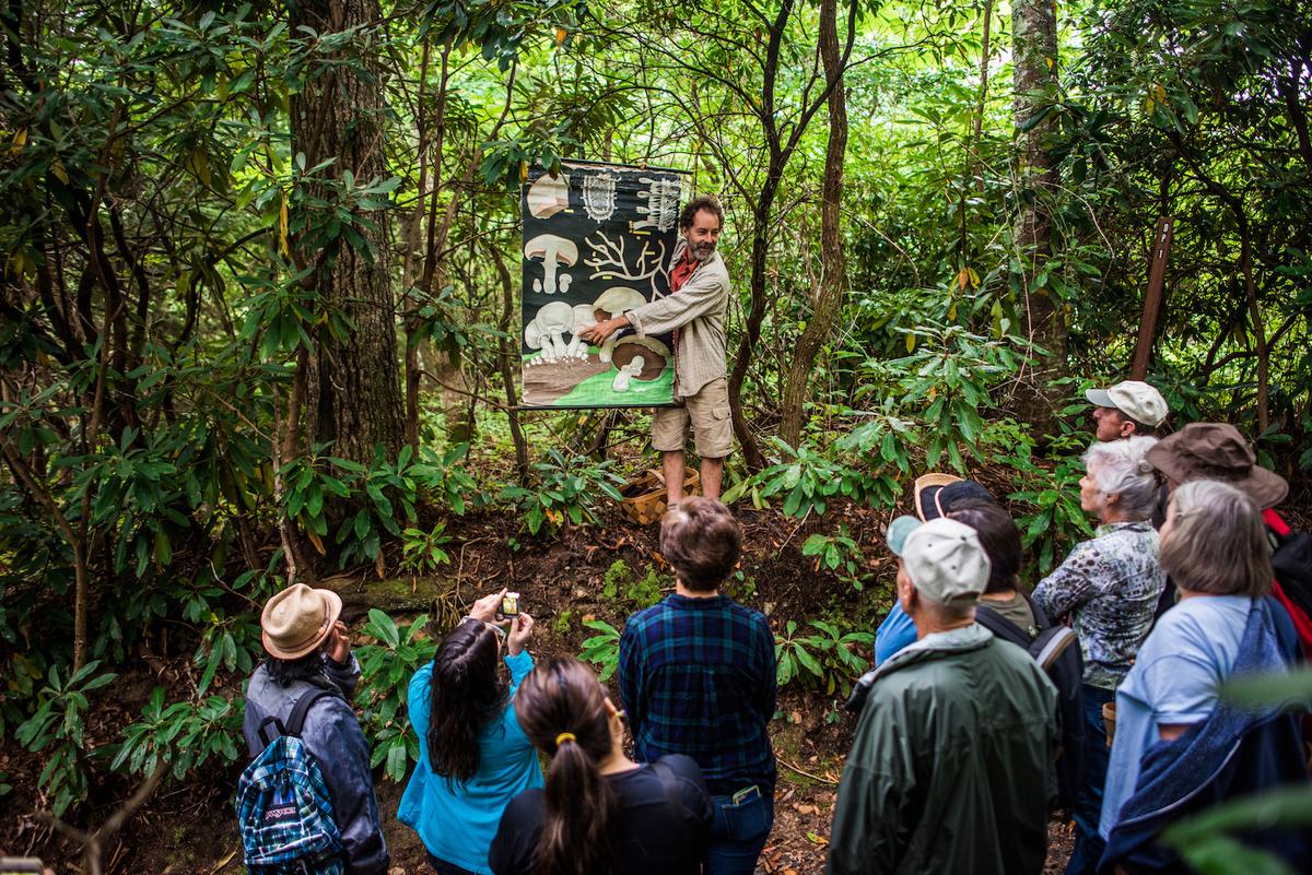 Alan Muskat pauses for a mushroom education break during a guided foraging tour with his company, <a href="https://notastelikehome.org/">No Taste Like Home</a>. (Mike Belleme)