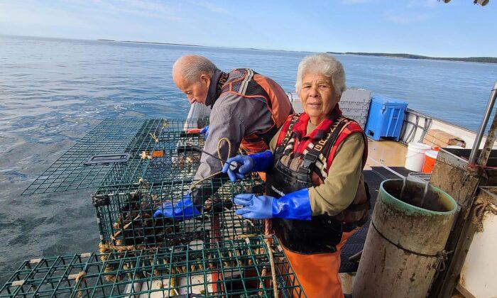 Maine Lobstermen Face Extinction Threat From Big Wind Corporations, Environmentalists