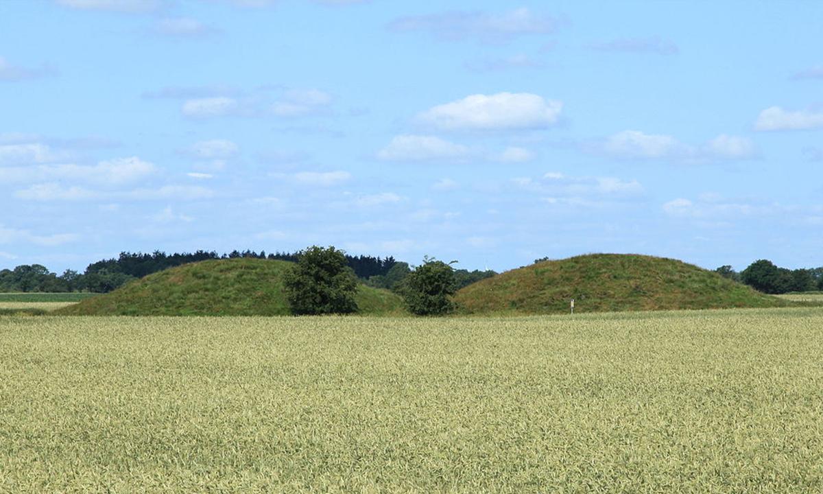 Viking burial mounds at Haithabu, southwest of Schleswig, Germany. (<a href="https://de.wikipedia.org/wiki/Haithabu-Dannewerk#/media/Datei:Dannewerk_-_Ochsenweg_-_Ochsenweg_-_Grabh%C3%BCgel_Tweebargen_10_ies.jpg">Frank Vincentz</a>/CC BY-SA 3.0)