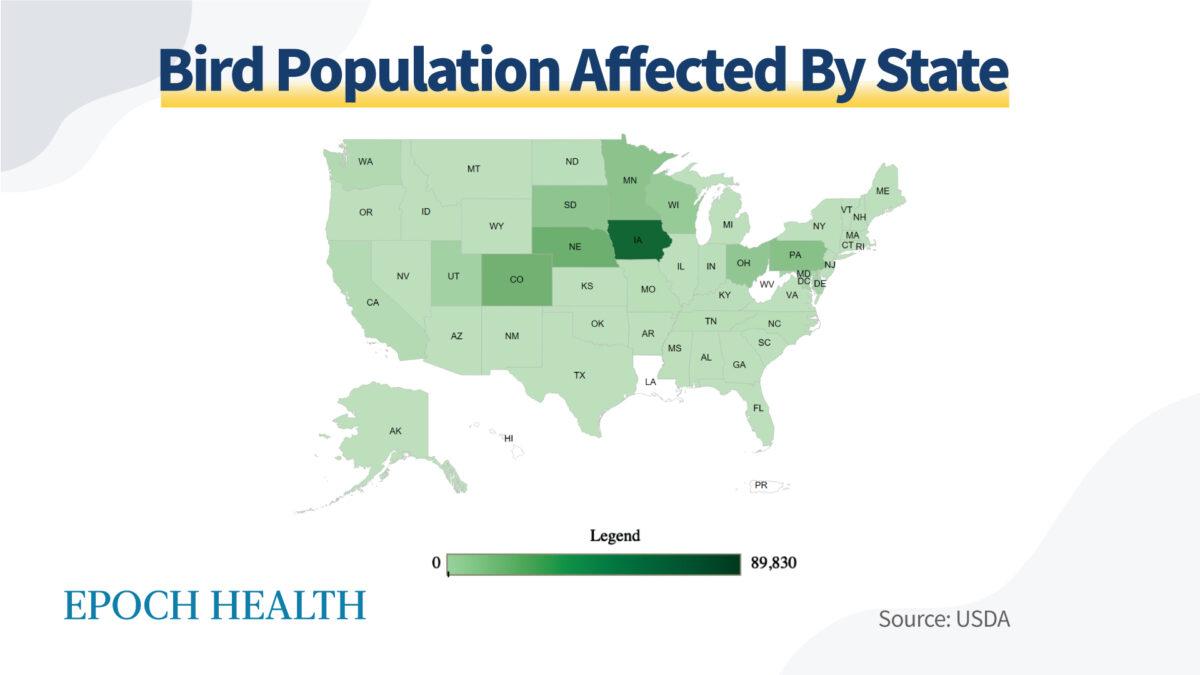 The number of HPAI infections in the domestic poultry population by state. (The Epoch Times)