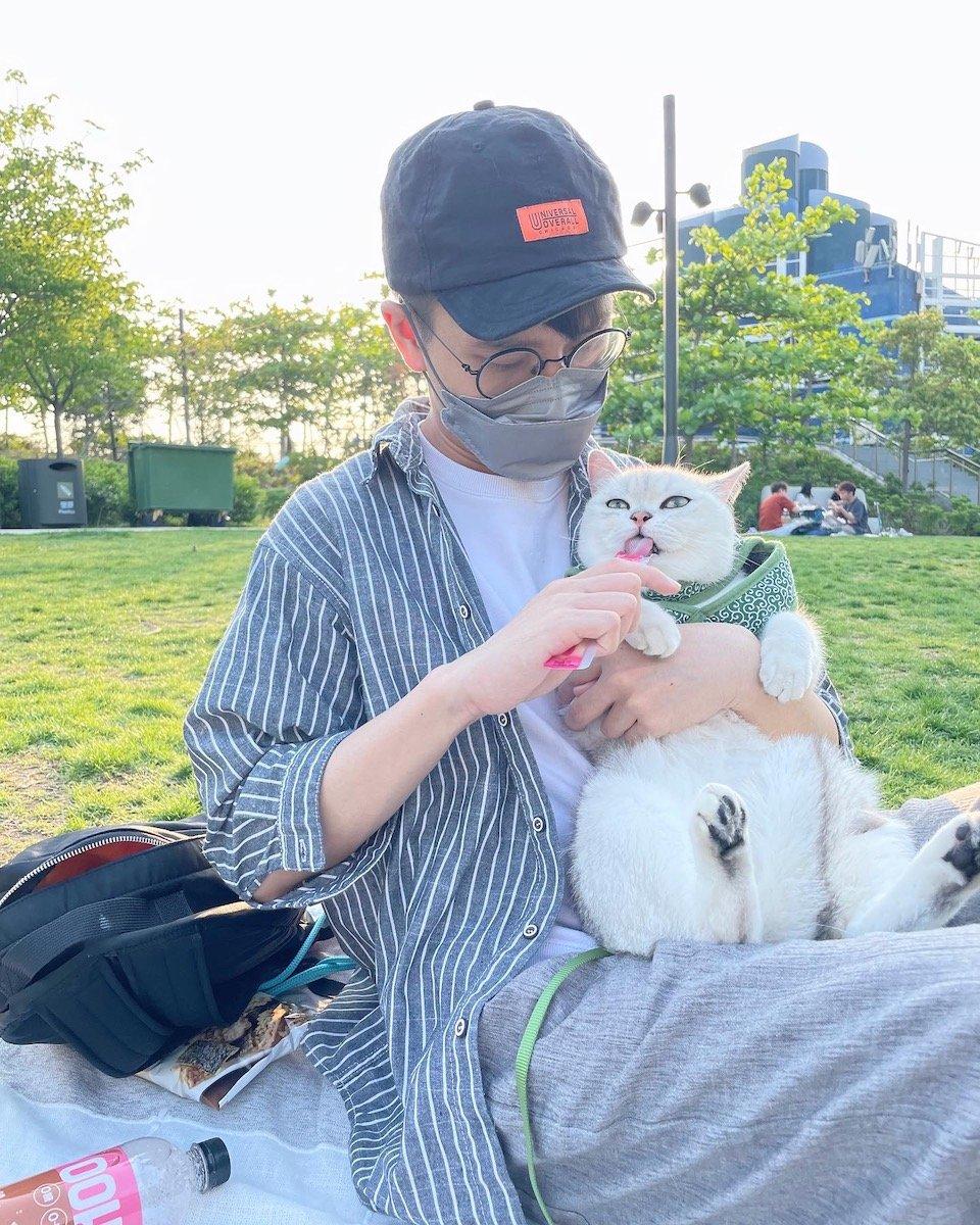 The fluffy white cat Mudyin is a regular face on Yung's adventures, outings, and picnics around Hong Kong. (Courtesy of Yung Jai)