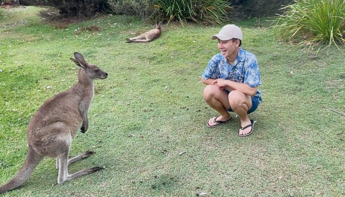 Australia is rich in animal resources, where kangaroos and people live harmoniously. The photo was taken in Sydney, Australia, in January 2023. (Courtesy of Yung Jai)