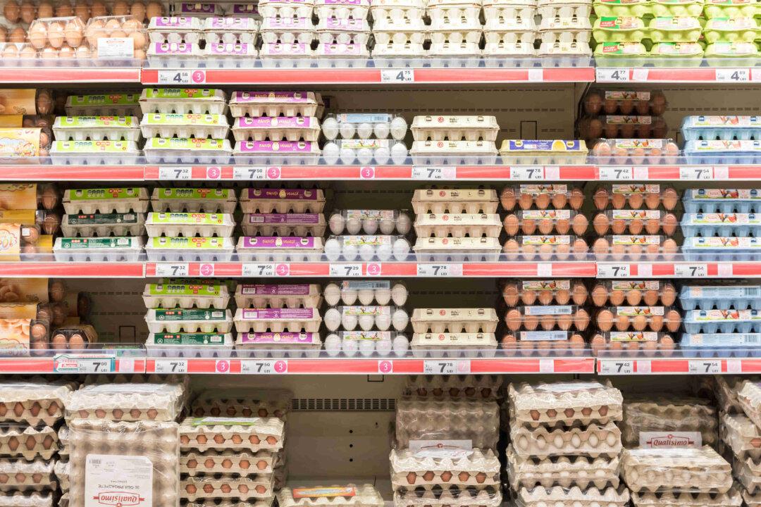 Soaring Egg Prices and the Unprecedented Avian Flu Outbreak