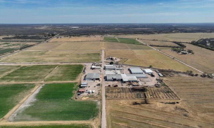 IN-DEPTH: Texas Sees Highest Increase in Foreign-Owned Ag Land, USDA Report